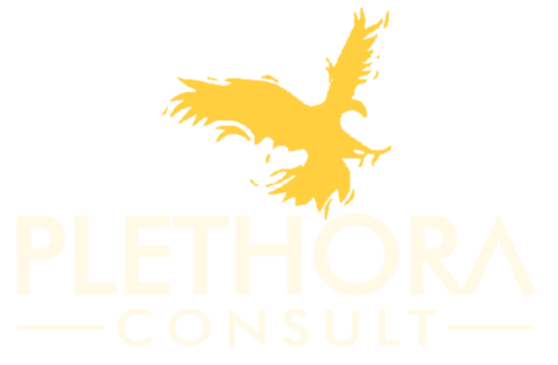 Plethora Consult