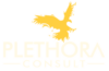 Plethora Consult